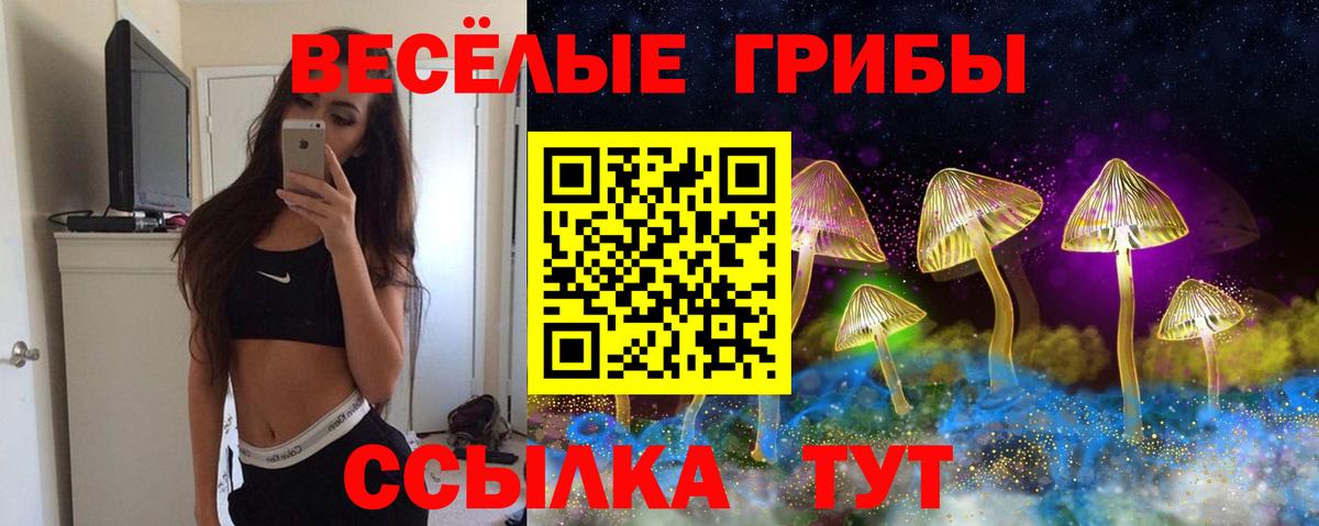 Псилоцибиновые грибы Psilocybine cubensis Кировск